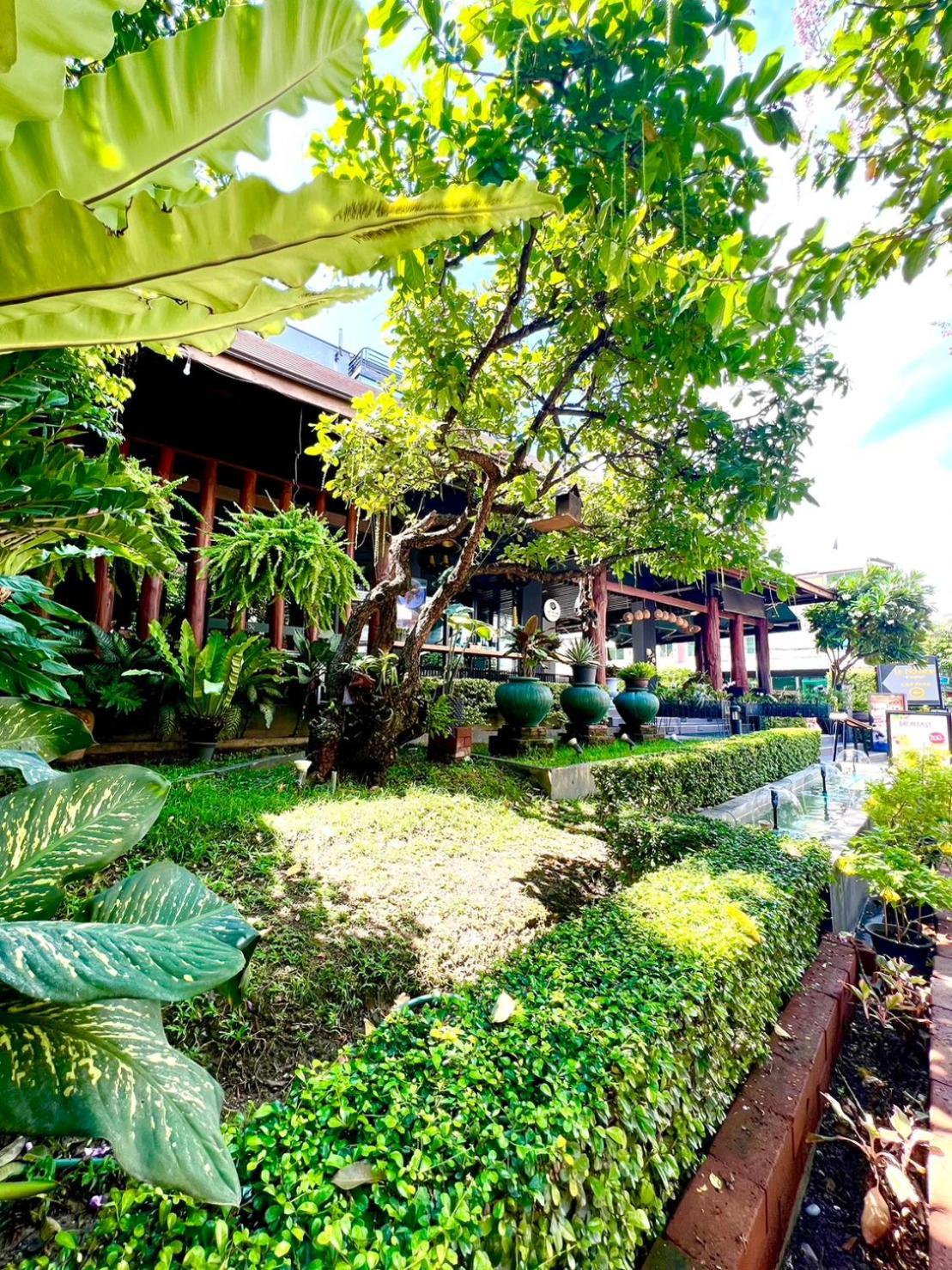 Le Naview @Prasingh Hotel Chiang Mai Eksteriør billede